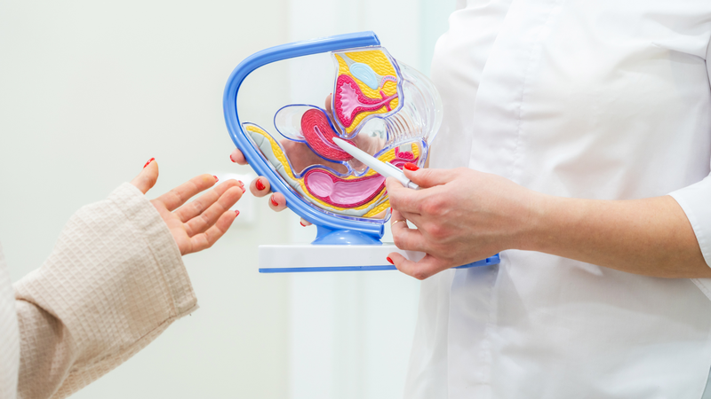 Tắc vòi trứng có làm IUI được không? Những điều bạn cần biết 2