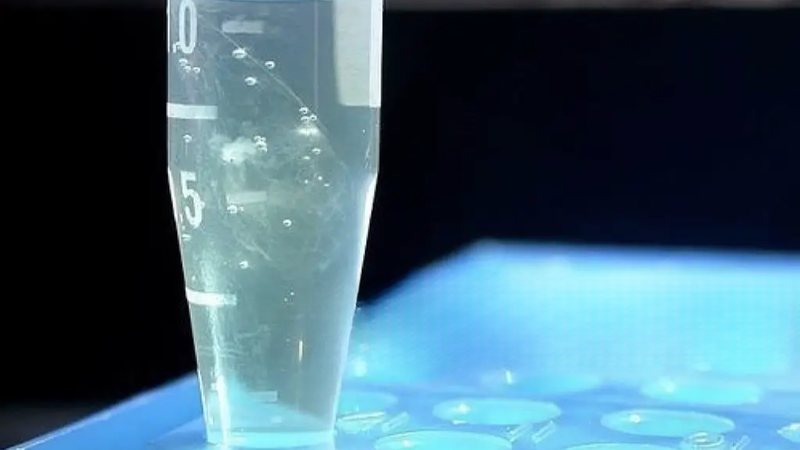 tach-chiet-adn-la-gi-yeu-to-anh-huong-den-qua-trinh-tach-chiet-adn 2