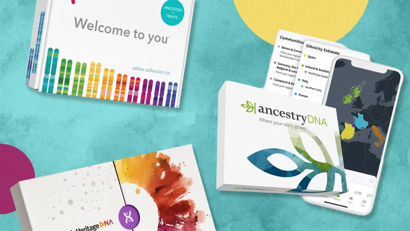 tach-chiet-adn-la-gi-yeu-to-anh-huong-den-qua-trinh-tach-chiet-adn 4