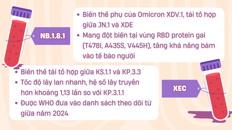 Tái nhiễm COVID -19: Nguy cơ tăng cao khi biến thể mới lan rộng 4
