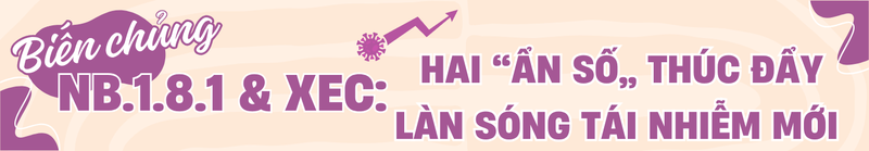 Tái nhiễm COVID -19: Nguy cơ tăng cao khi biến thể mới lan rộng 1