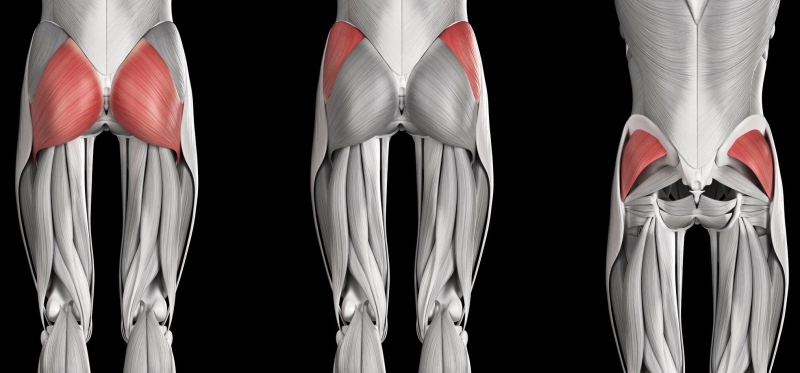 Tại sao 2 bên mông không bằng nhau? Có khắc phục được không? 2