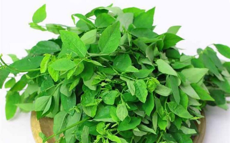 Tại sao bà bầu không nên ăn rau mầm? Ăn rau gì để tốt cho sức khỏe thai kỳ? 3