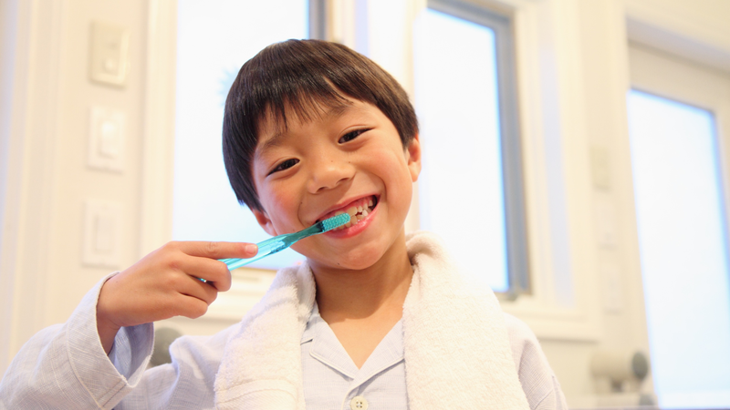 Chọn bàn chải dựa vào lông mềm và kích thước phù hợp, không phải màu sắc