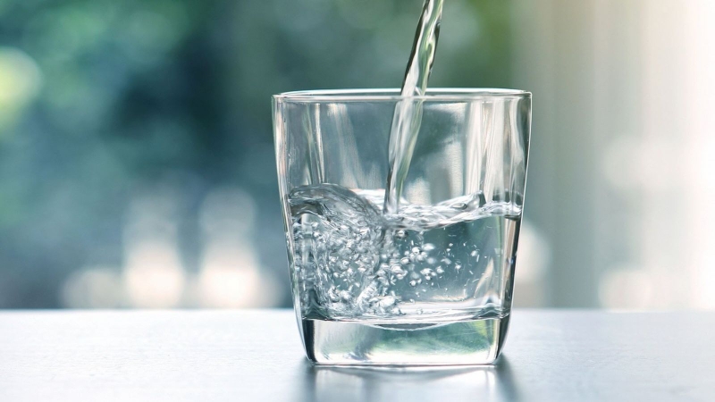 tại sao bệnh dại lại sợ nước 2