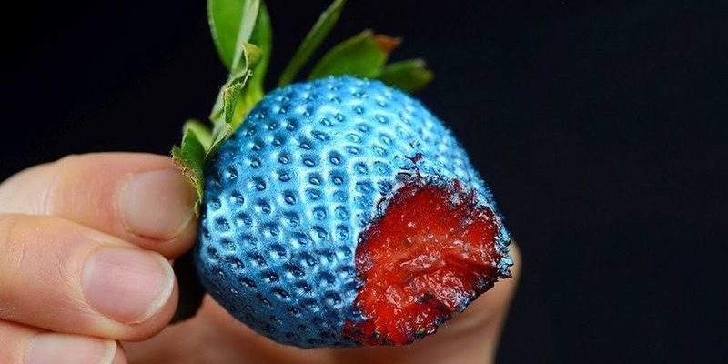 Tại sao bệnh mù màu gặp chủ yếu ở nam giới 1