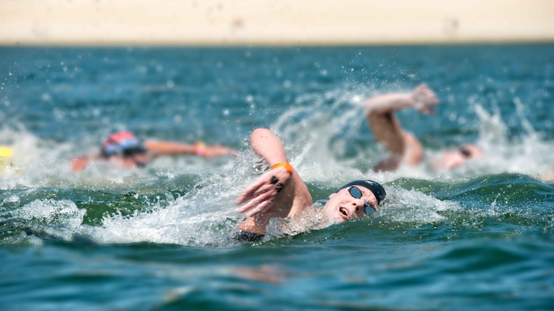 Tại sao bơi sải bị mệt: Khám phá bí quyết bơi sải không mệt mỏi 3