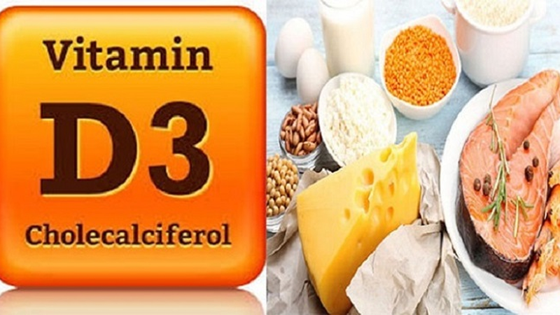 Các loại cá giàu chất béo, trứng, sữa, nấm,... đều cung cấp một lượng vitamin D3 cho trẻ sơ sinh khá dồi dào