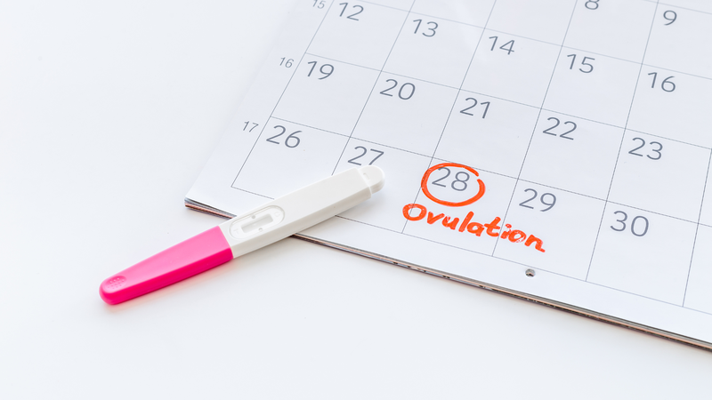 Tại sao cho tinh trùng vào mà không có thai? 3