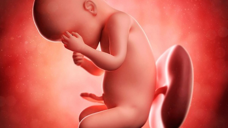 Tại sao Folate (Vitamin B9) lại quan trọng cho sức khoẻ thai kỳ? 1