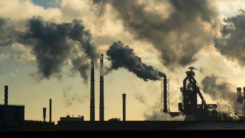 Tại sao hít không khí ô nhiễm có thể gây buồn nôn? 3