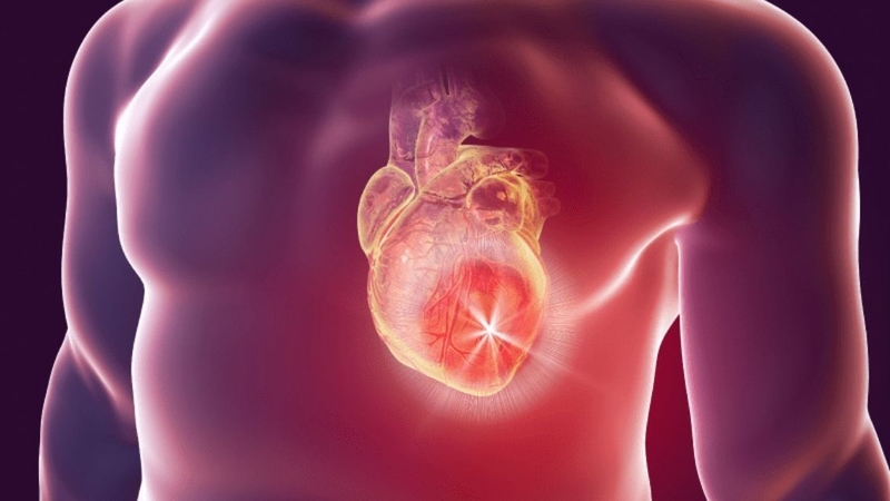 Khối u tim có thể lành tính hoặc ác tính, tùy nguồn gốc và đặc điểm