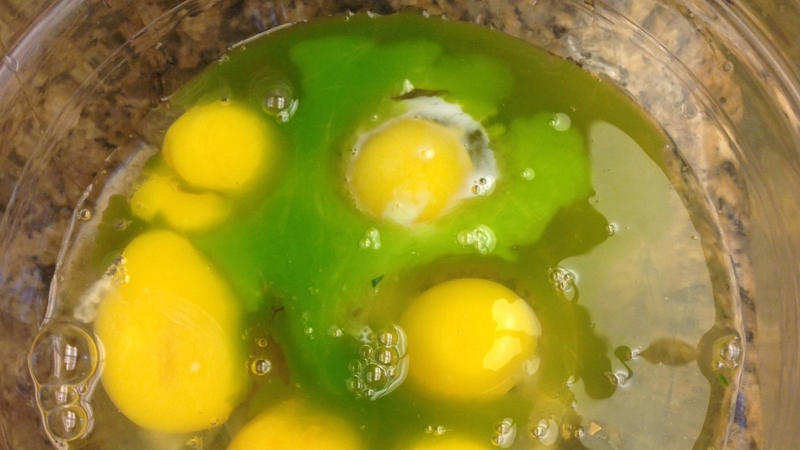 Tại sao lòng trắng trứng có màu xanh? Lòng trắng trứng màu xanh có ăn được không? 1