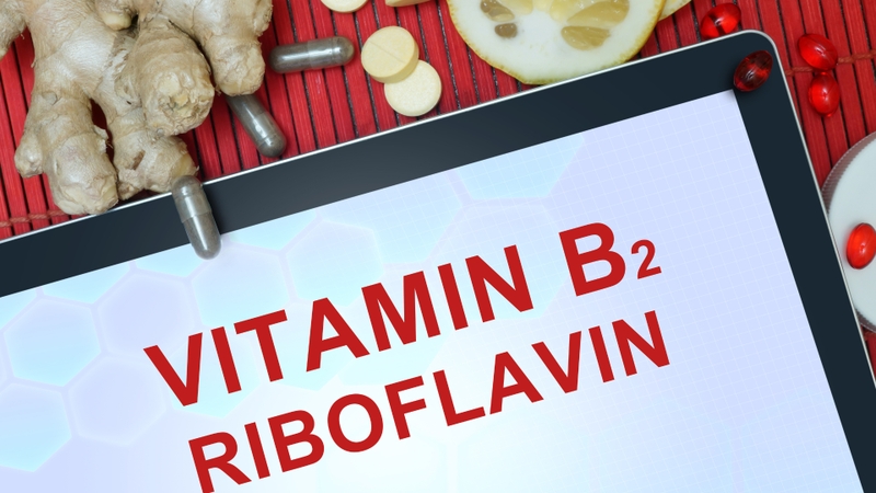 Tại sao lòng trắng trứng có màu xanh? Lòng trắng trứng màu xanh có ăn được không? 2