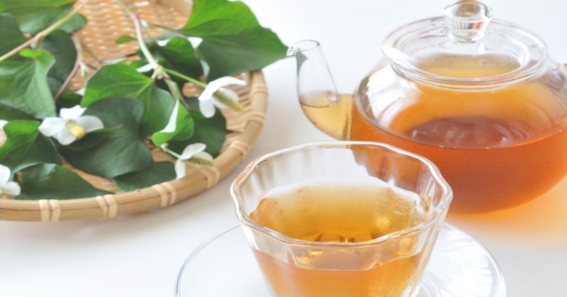 Tại sao nhiều người thích uống trà diếp cá? Uống sao cho tốt? 2