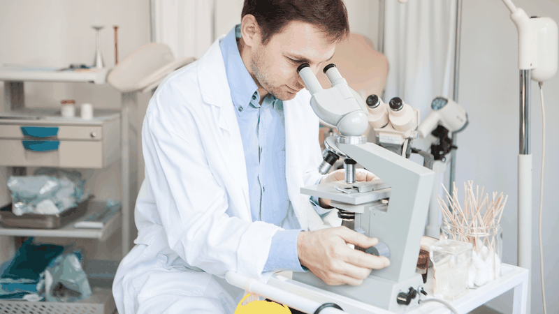 Tại sao phải chuyển phôi tươi trong quá trình làm IVF?