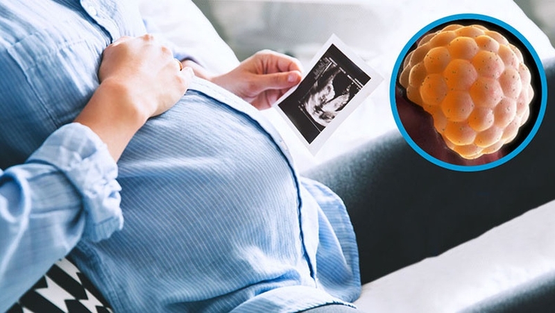 Tại sao thử que 2 vạch nhưng thai chưa vào tử cung? 3