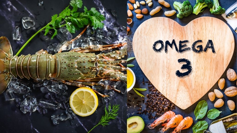 Tại sao tôm hùm là loại hải sản cao cấp? Ăn nhiều có tốt không? 2