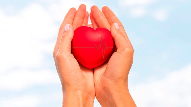 Tại sao vitamin D quan trọng đối với sức khỏe của bạn? 3