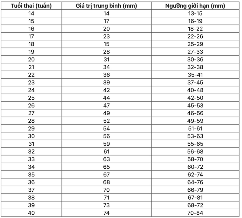 Tại sao xác định chiều dài xương đùi thai nhi lại quan trọng? 3