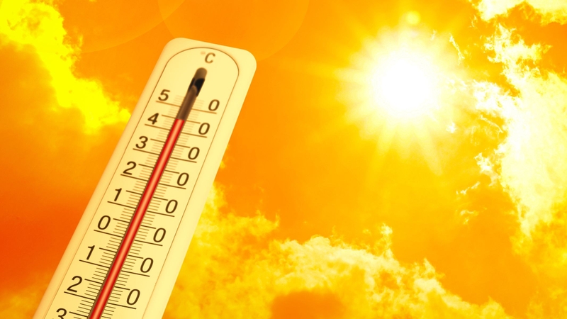 Không nên tắm nắng khi thời tiết quá nóng hoặc oi bức vì có thể khiến bé mất nước, mệt mỏi và dễ bị rôm sảy