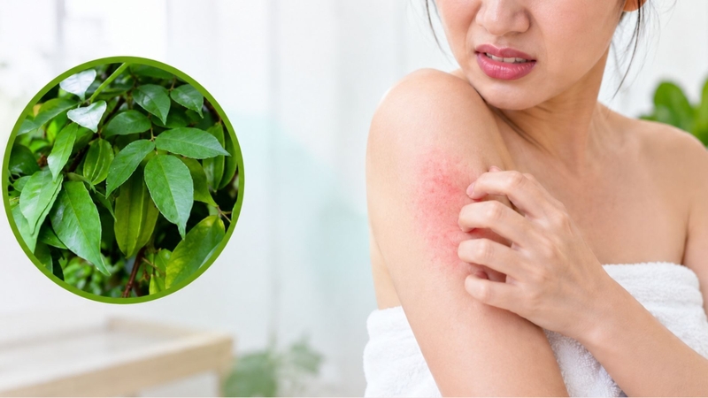 Ngừng tắm nước lá khế nếu da xuất hiện tình trạng đỏ, ngứa sau khi sử dụng
