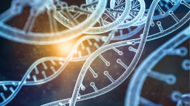 Nếu lượng DNA trong mẫu máu không đủ để phân tích thì không thể đưa ra kết luận