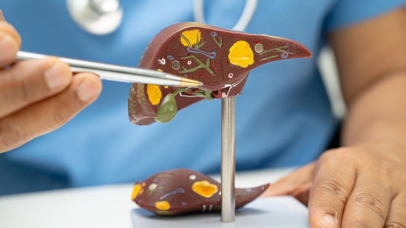 Nguyên nhân dẫn đến tăng men gan