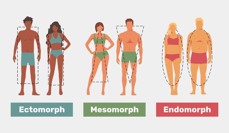 Tạng người là gì? Chế độ ăn uống và tập luyện ảnh hưởng như thế nào? 2