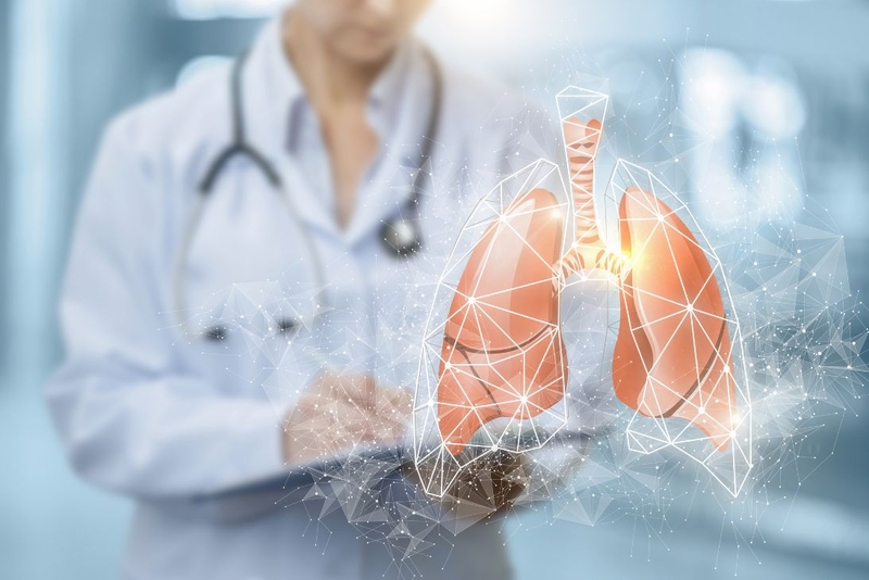 Tạng phế là gì? Tạng phế có chức năng gì? Triệu chứng bệnh ở tạng phế 4