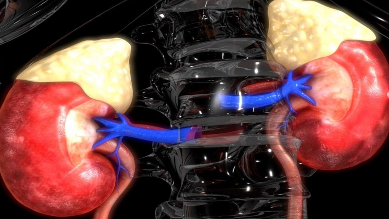Tăng phốt phát trong máu có nguy hiểm không? 1