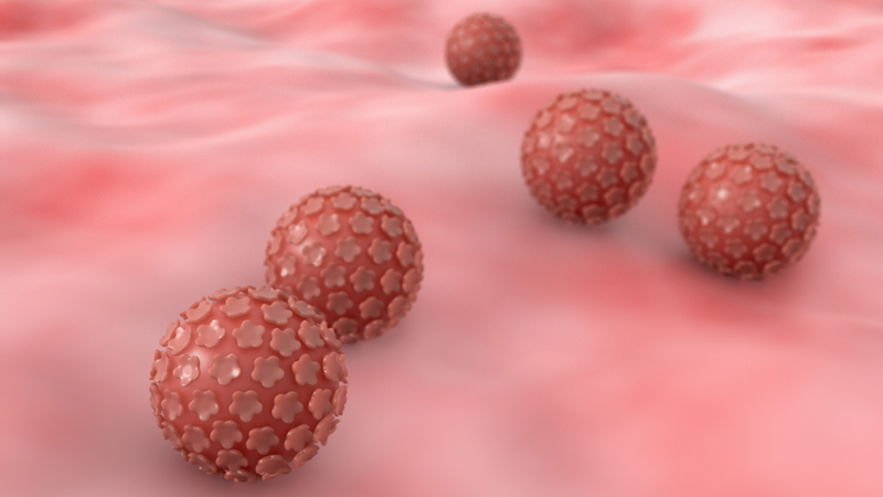 Virus HPV là một trong những nguyên nhân gây tăng sinh mạch máu ở cổ tử cung