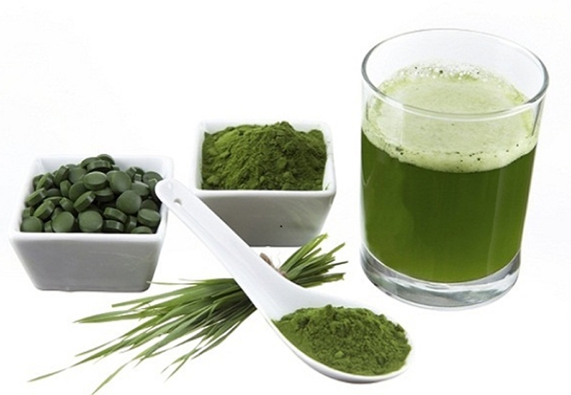 Tảo biển là gì? Những ai không nên uống tảo biển?2