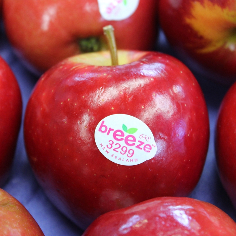 Táo Breeze New Zealand: Đặc điểm và giá trị dinh dưỡng 1