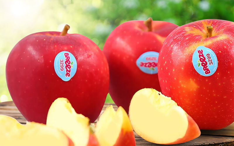 Táo Breeze New Zealand: Đặc điểm và giá trị dinh dưỡng 3