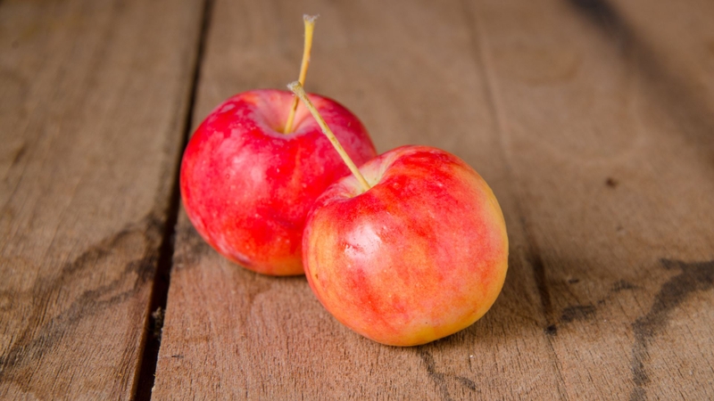 Trái chín ngon có màu đỏ sẫm tự nhiên, đều màu, cứng vừa phải, vỏ bóng