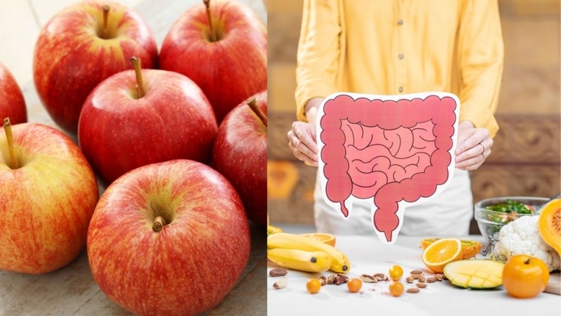 Táo Gala tốt như thế nào cho sức khỏe? Lưu ý gì khi ăn? 3