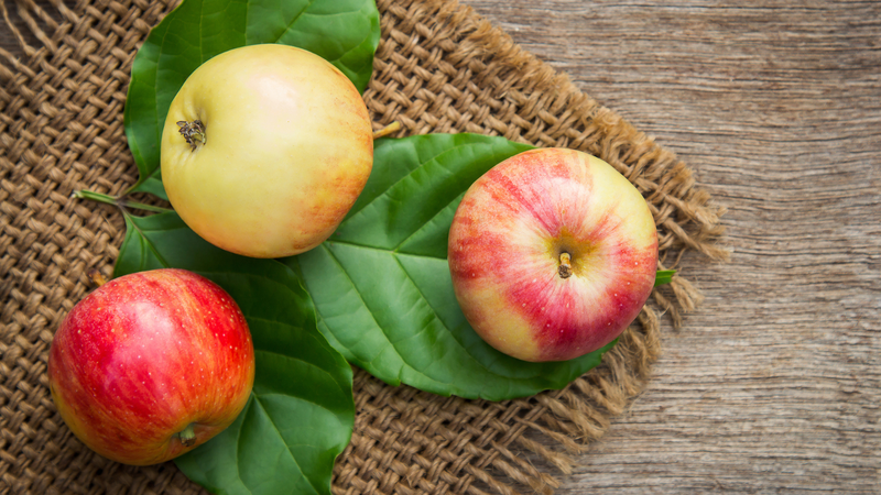 Táo rockit: Đặc điểm, giá trị dinh dưỡng và cách bảo quản - Có nên ăn táo rockit mỗi ngày không? 5