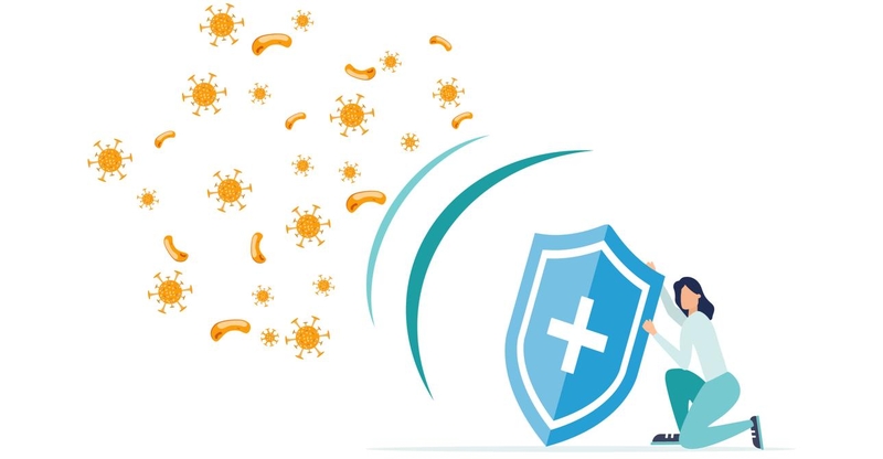 Tảo có khả năng kích thích hệ miễn dịch chống lại bệnh tật