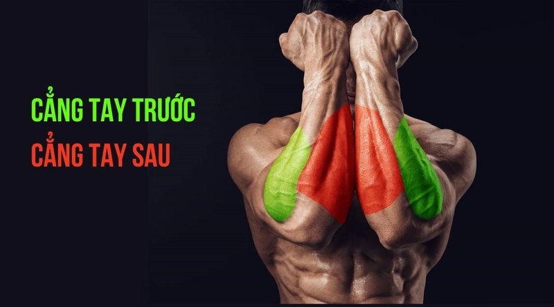 Top bài 10 tập cẳng tay với tạ đơn dễ thực hiện mỗi ngày 4