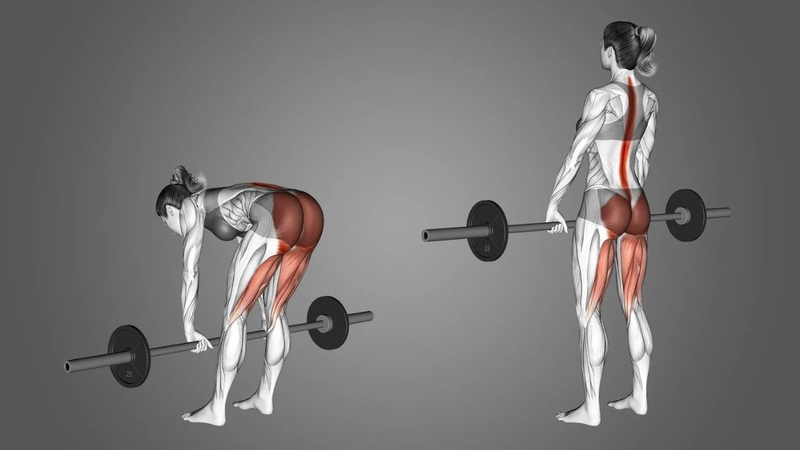 Top 10 bài tập đùi sau đơn giản nhưng mang lại hiệu quả bất ngờ 2