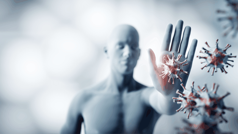 Ăn trứng vịt lộn ở mức độ vừa phải giúp tăng cường hệ miễn dịch