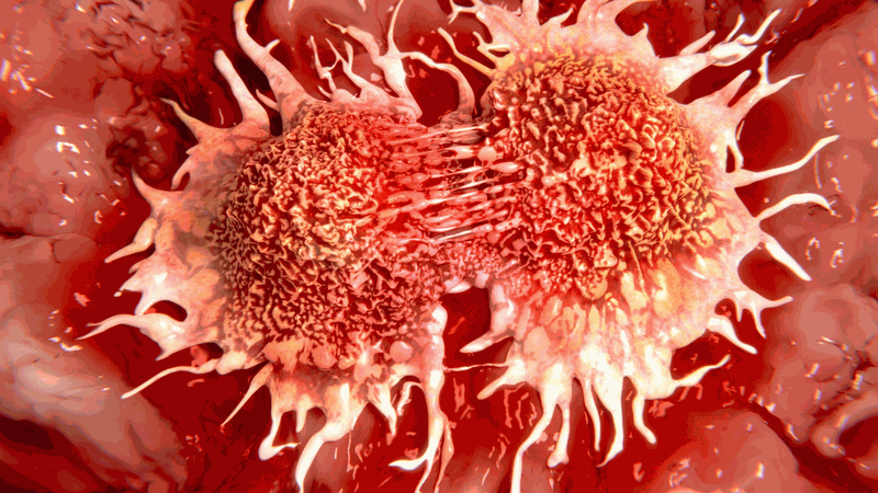 Nguy cơ dẫn đến ung thư vì các chất phụ gia và chất bảo quản có trong xúc xích