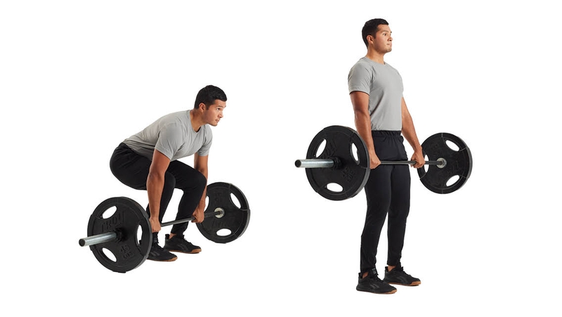 Top 10 bài tập lưng dưới hiệu quả cho mọi gymer 1