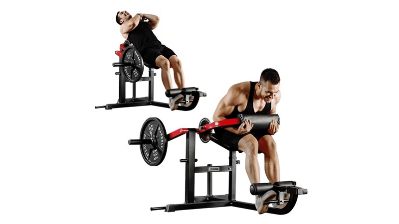 Top 10 bài tập lưng dưới hiệu quả cho mọi gymer 3