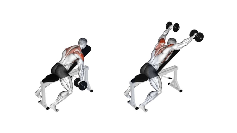 Top 10 bài tập vai sau với tạ đơn gymer nào cũng nên biết 3