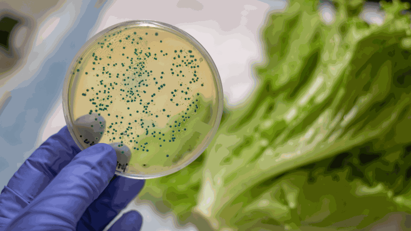 tất cả những gì bạn cần biết về astrovirus và các triệu chứng nguy hiểm 3