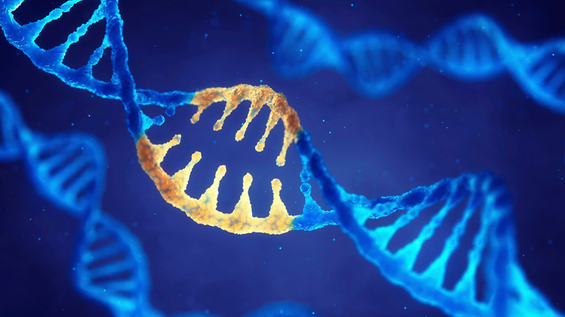 tat-khong-co-ham-nguyen-nhan-trieu-chung-va-huong-dieu-tri 3.png