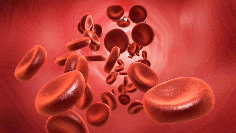 Tất tần tật về nhóm máu O: Cách xác định, nguy cơ bệnh và chế độ ăn phù hợp 2