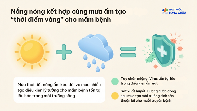 Thời tiết nóng ẩm và mưa nhiều là điều kiện thuận lợi để mầm bệnh phát triển